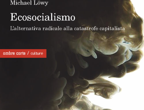Crisi ecologica e altermondialismo – di Michel Löwy