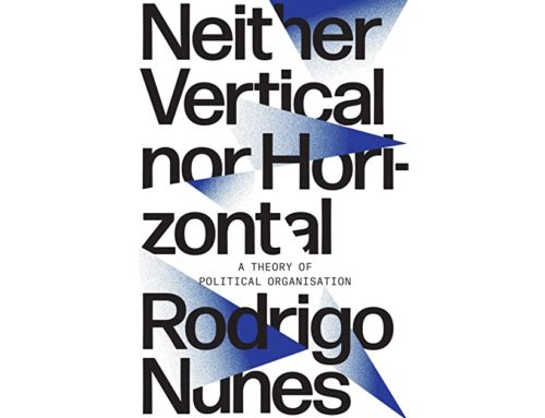 L’organizzazione al prisma dell’ecologia – di Davide Gallo Lassere